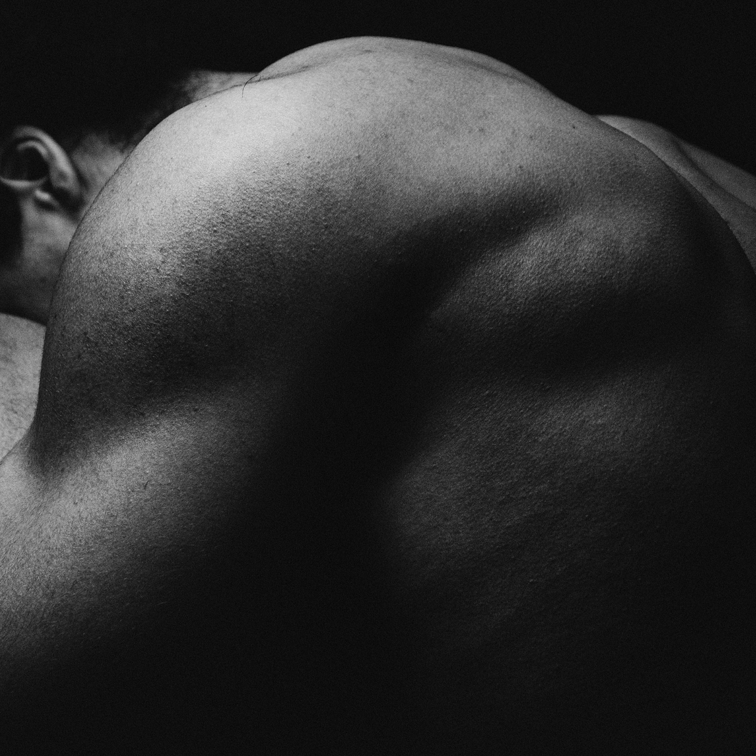 Testö: Smart, Steady Support for Strength, Stamina, and Everyday Vitality