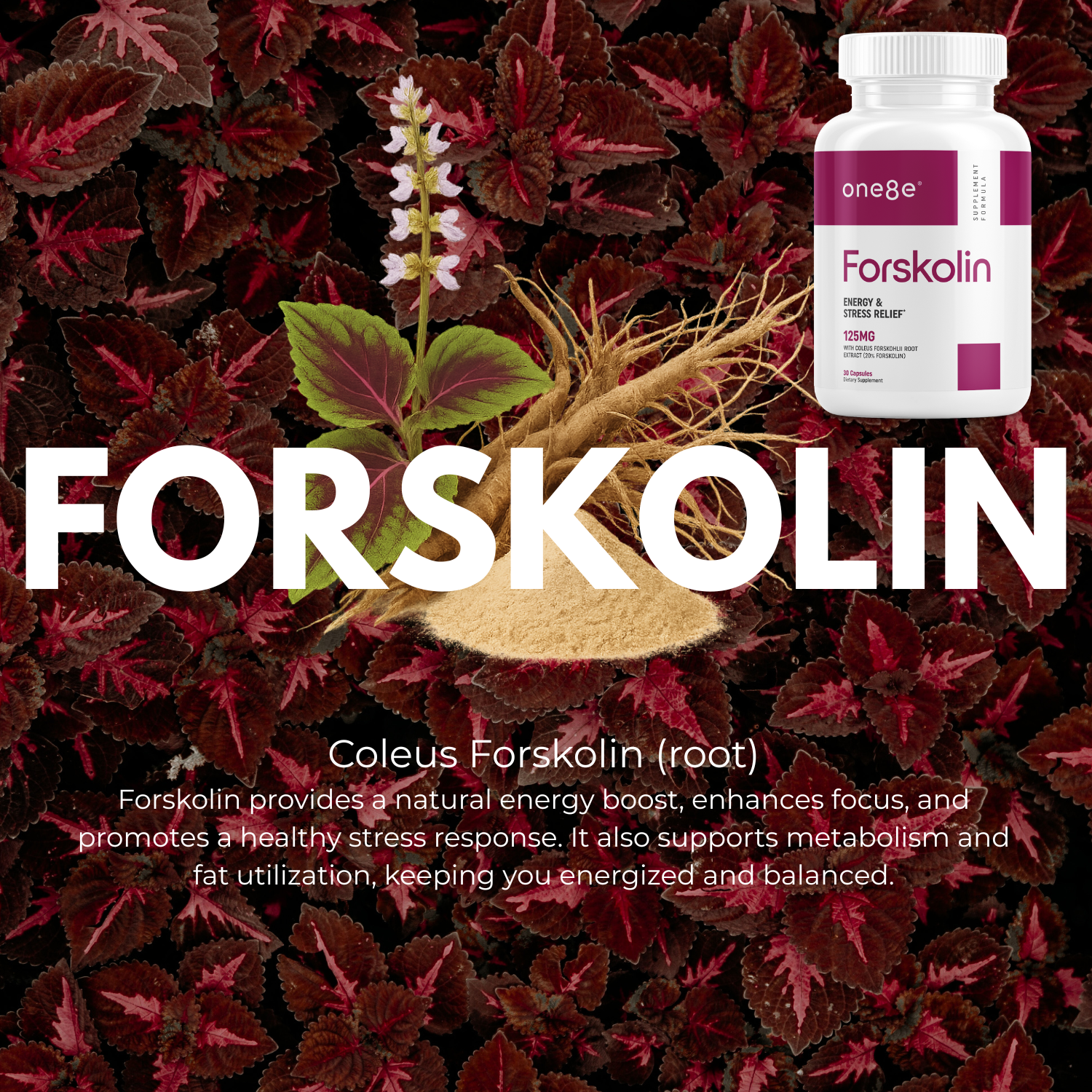 Forskolin - Energy and Stress Relief